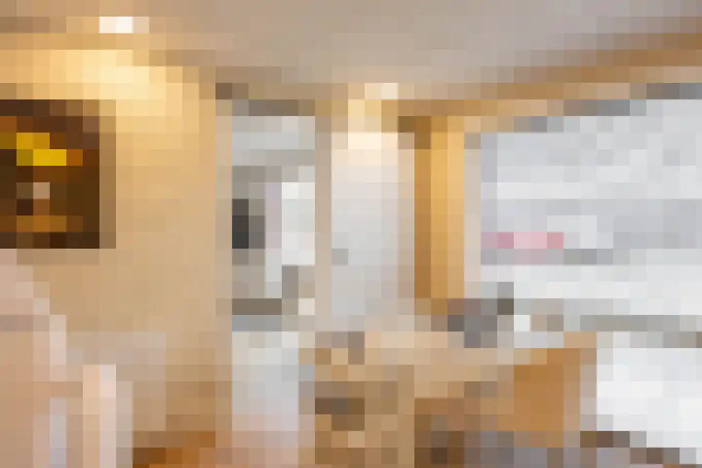 Kweldergras 3 a Groningen thumbnail 52