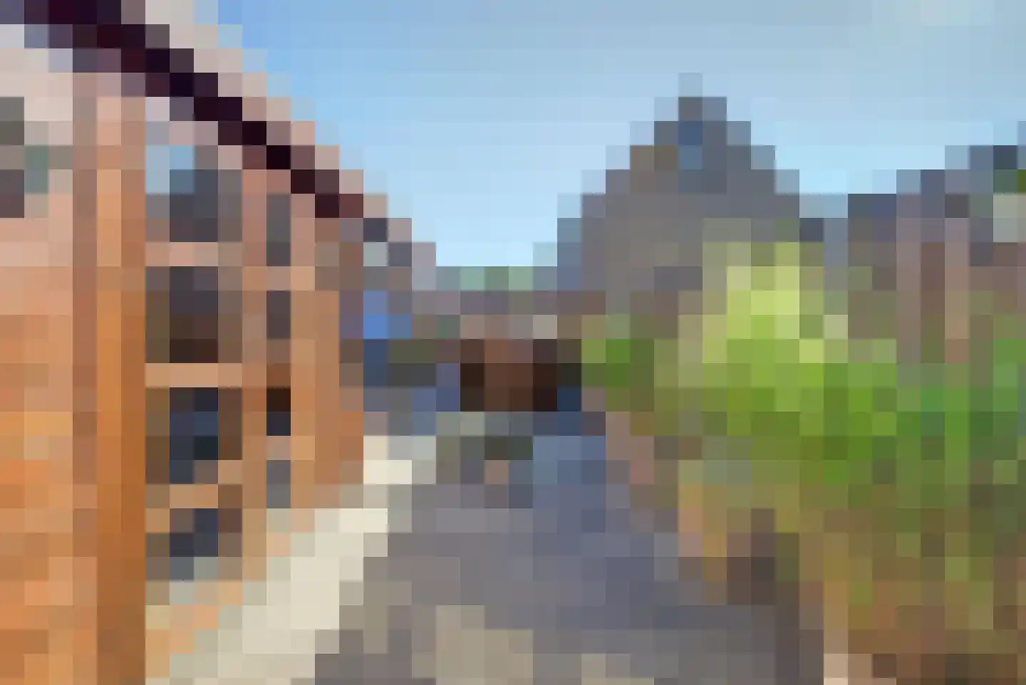 Kweldergras 35 Spijkenisse thumbnail 21