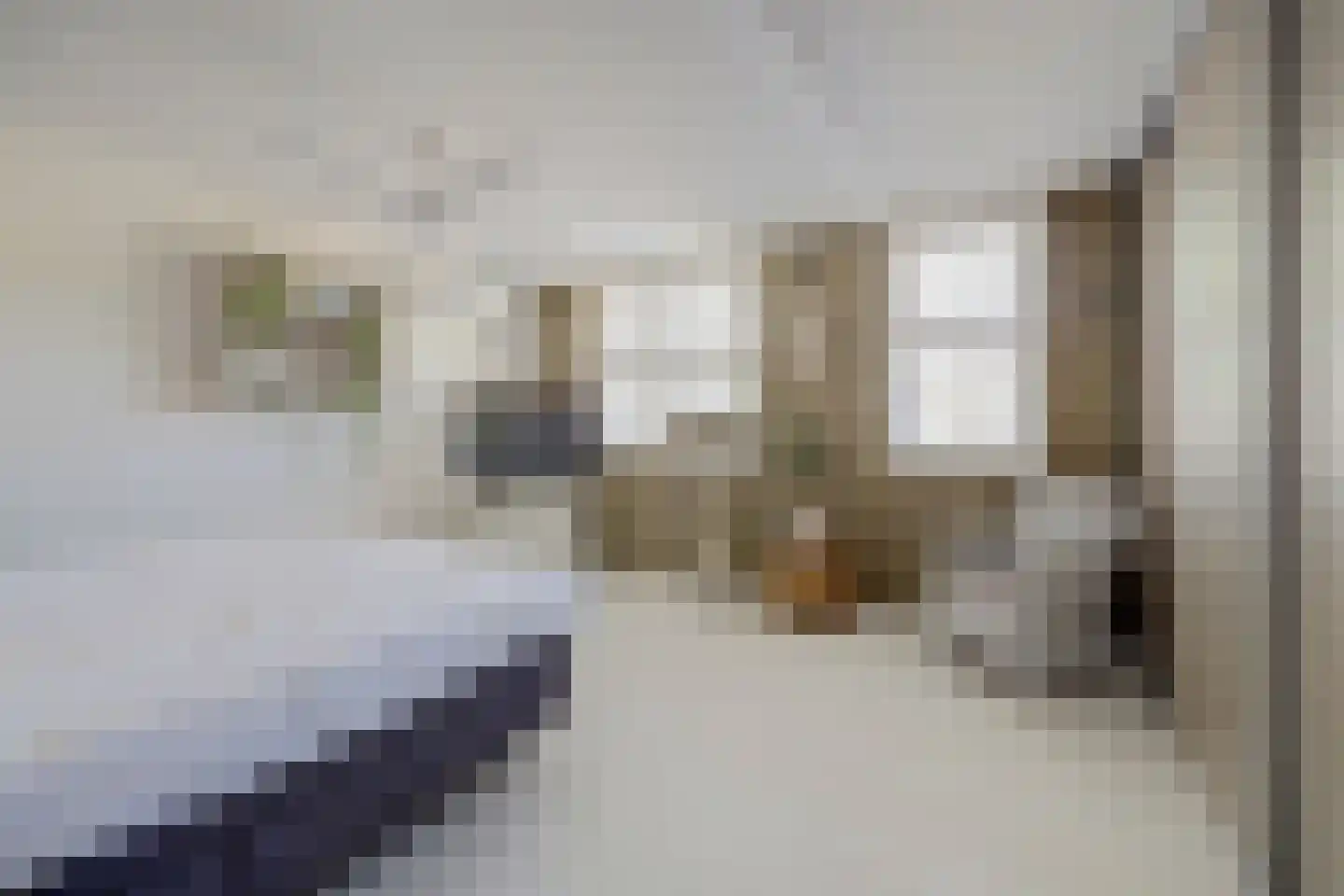 Kweldergras 35 Spijkenisse thumbnail 30