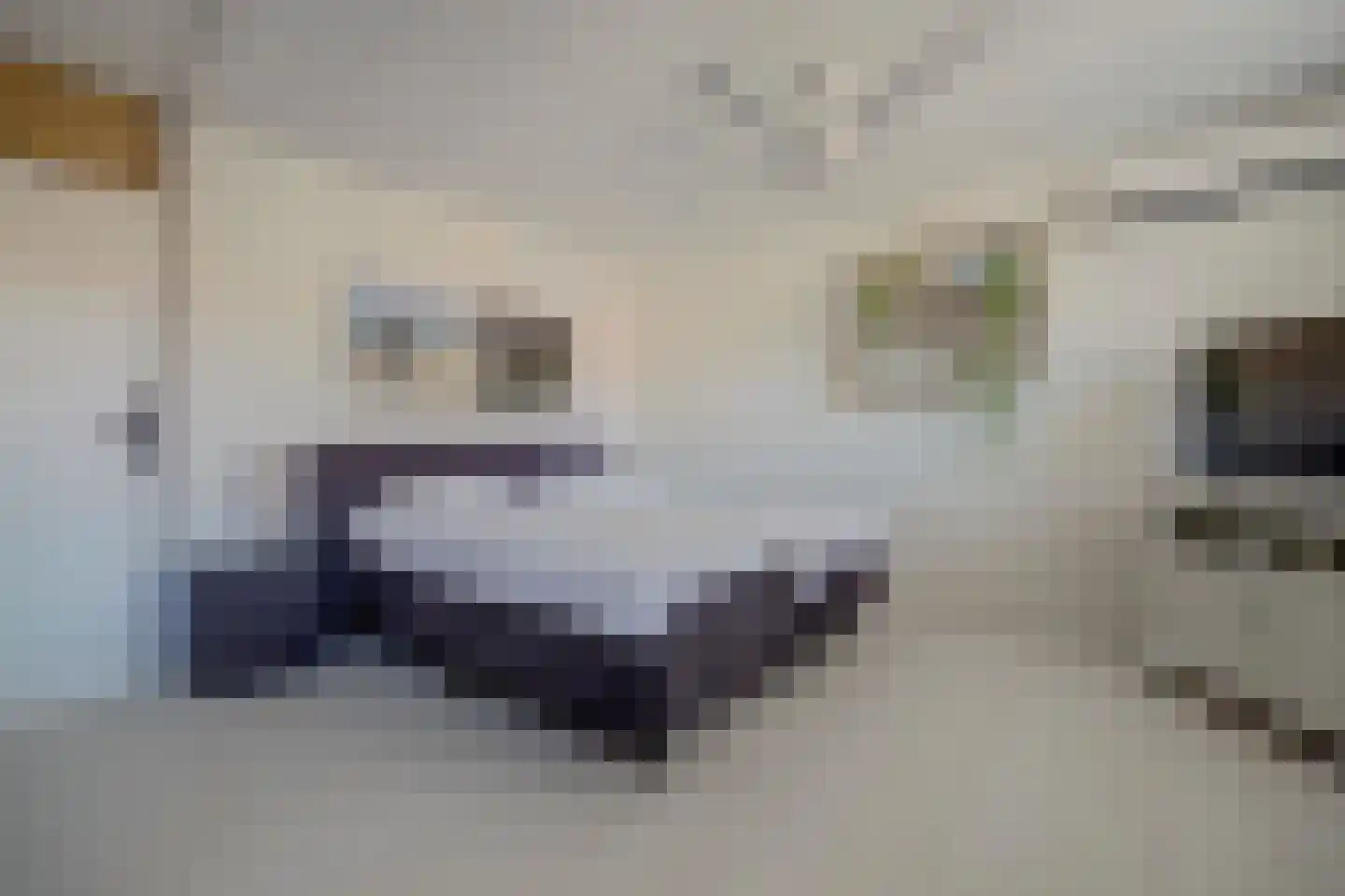 Kweldergras 35 Spijkenisse thumbnail 31