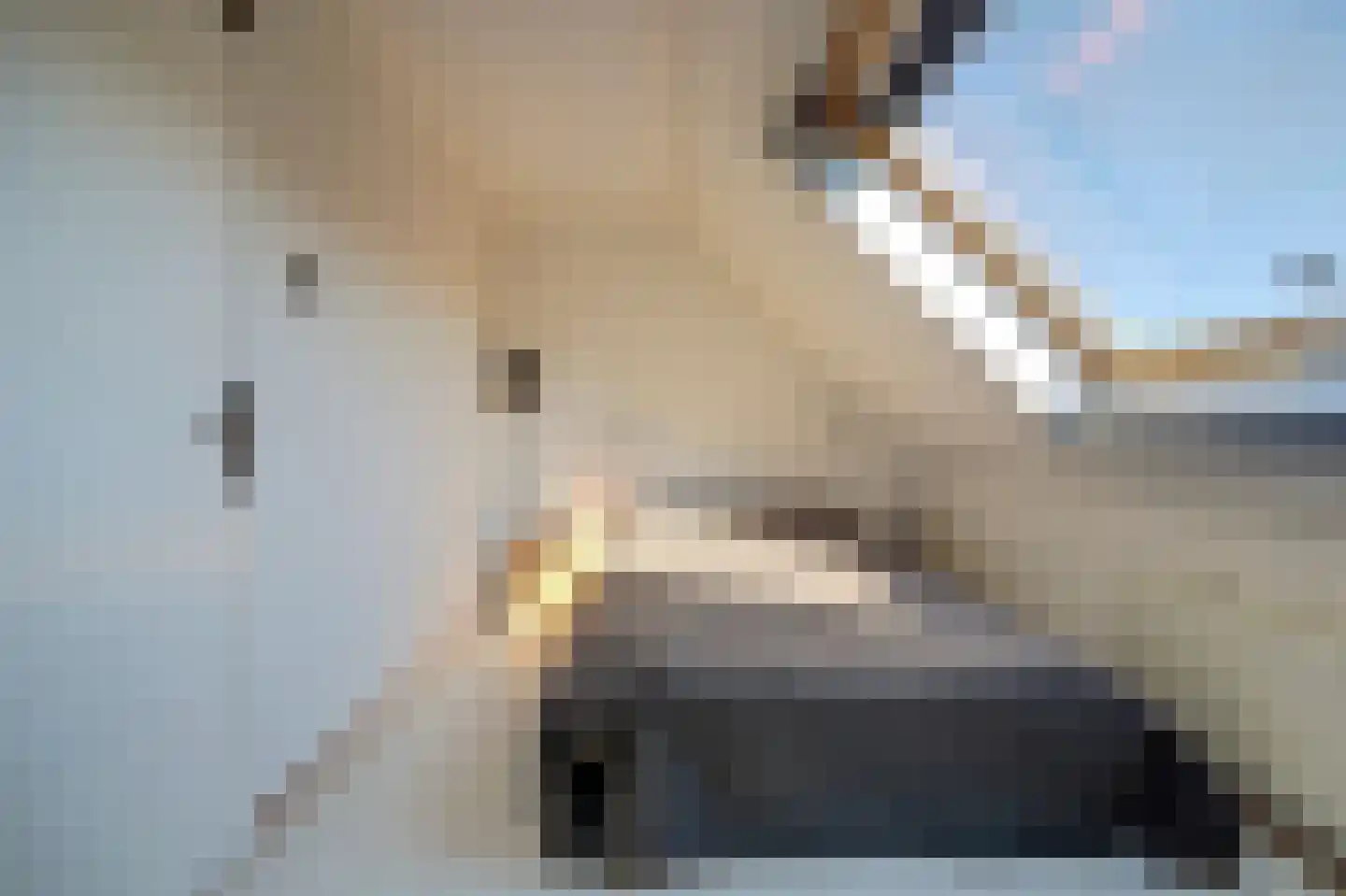 Kweldergras 35 Spijkenisse thumbnail 32