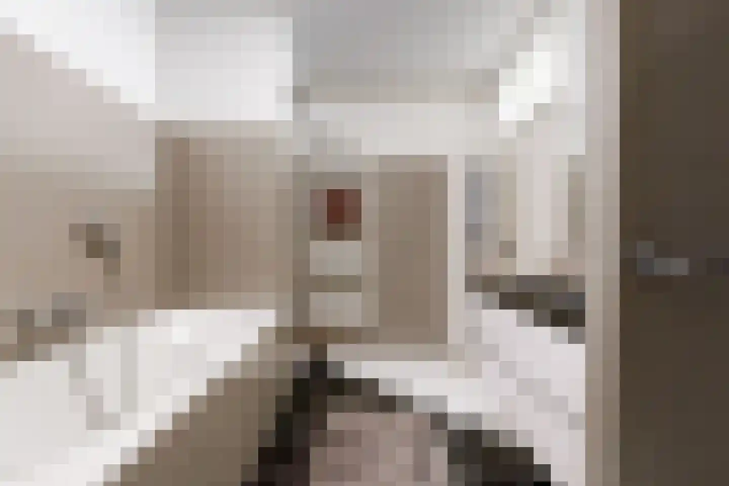 Kweldergras 5 Purmerend thumbnail 20