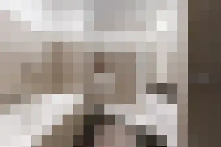Kweldergras 5 Purmerend thumbnail 20