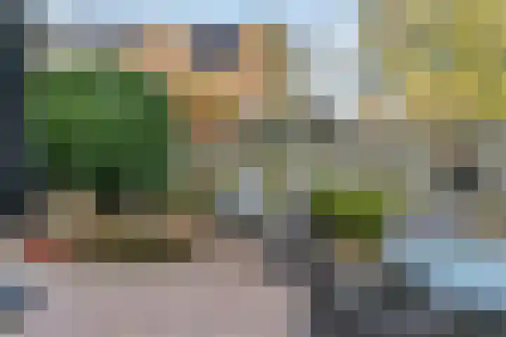 Kweldergras 5 Purmerend thumbnail 21