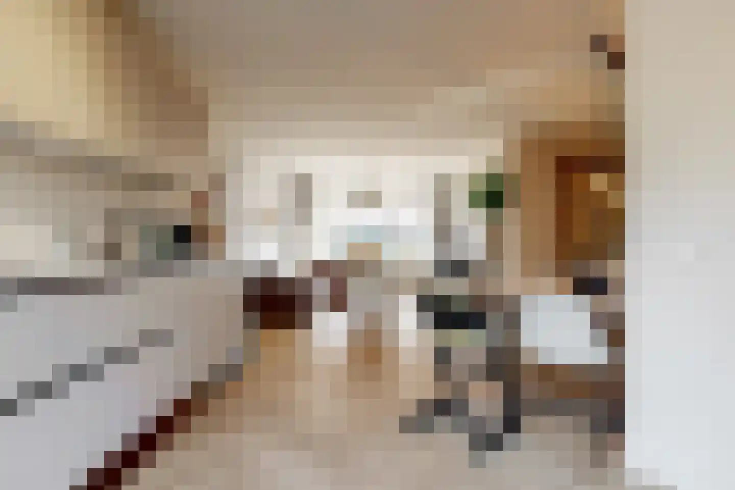 Kweldergras 5 Purmerend thumbnail 6
