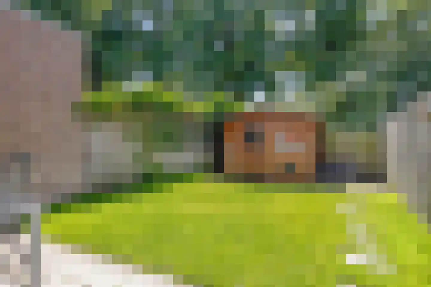 Kweldergras 8 Purmerend thumbnail 25