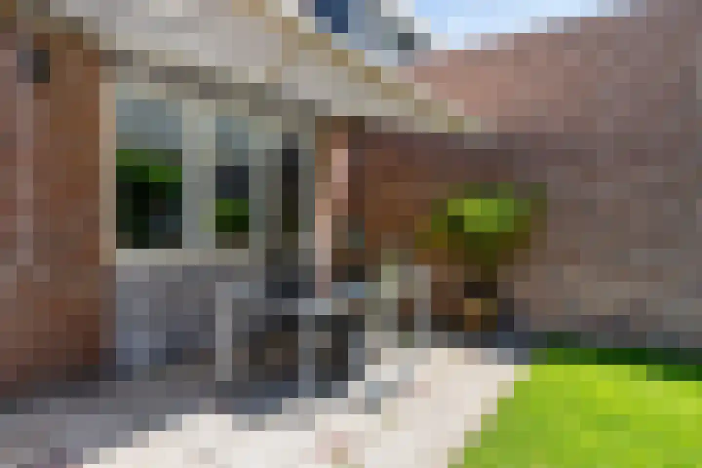 Kweldergras 8 Purmerend thumbnail 28