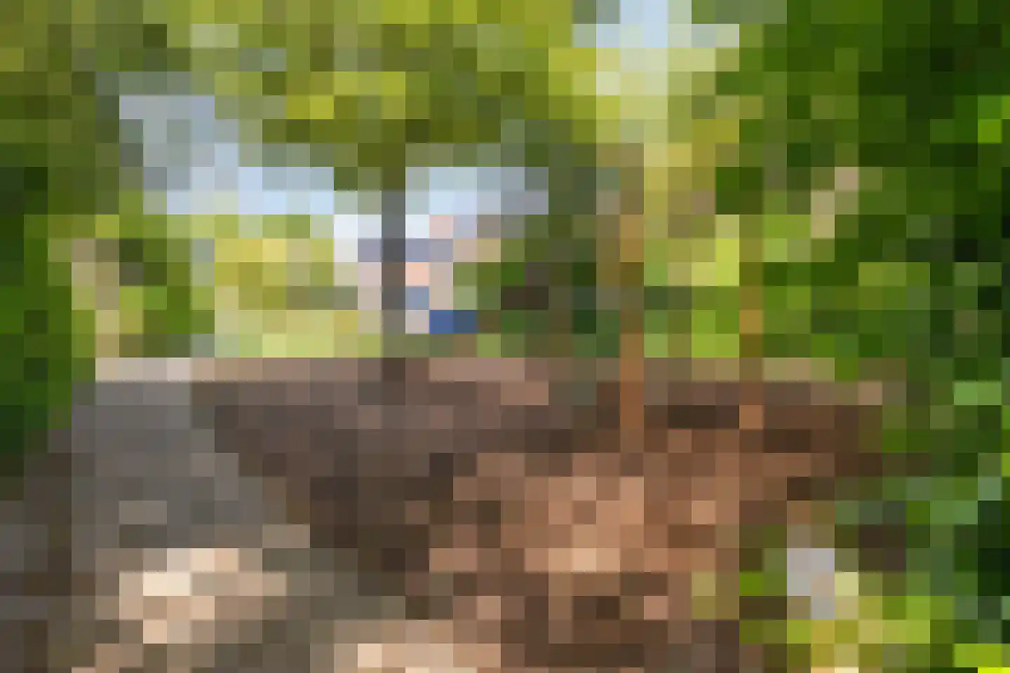 Kweldergras 8 Purmerend thumbnail 29