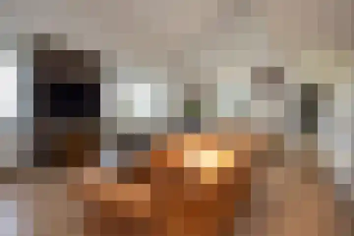 Kwelderplantsoen 105 Berkel en Rodenrijs thumbnail 19