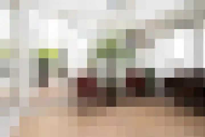 Kwelderplantsoen 105 Berkel en Rodenrijs thumbnail 33