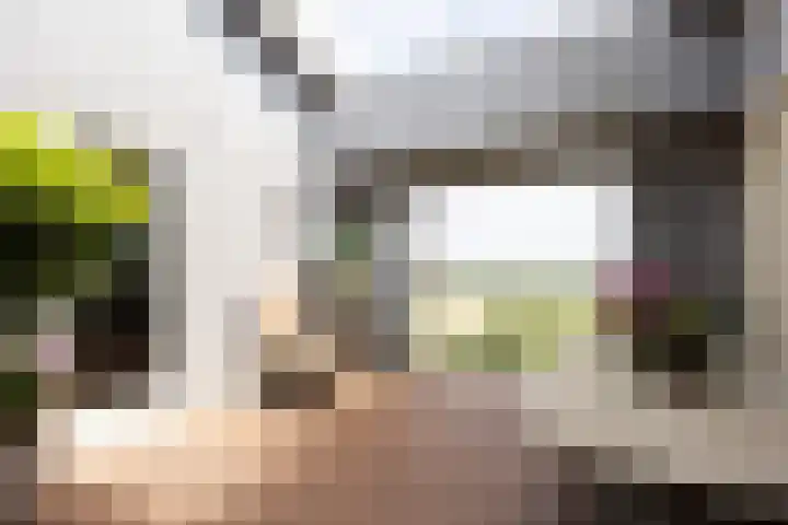 Kwelderplantsoen 105 Berkel en Rodenrijs thumbnail 44