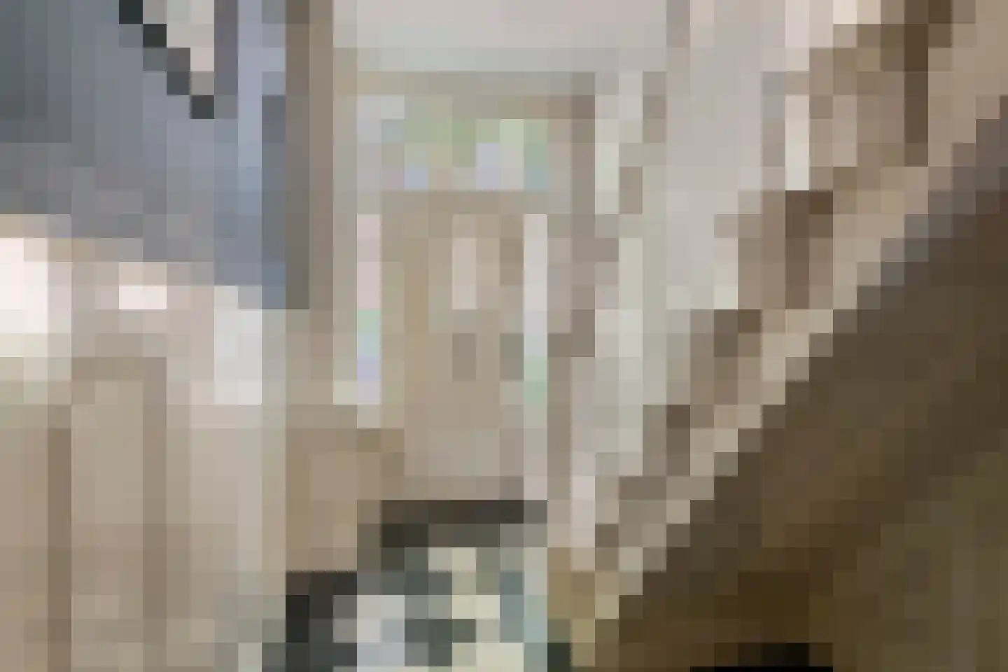 Kwelkade 3 Tiel thumbnail 22
