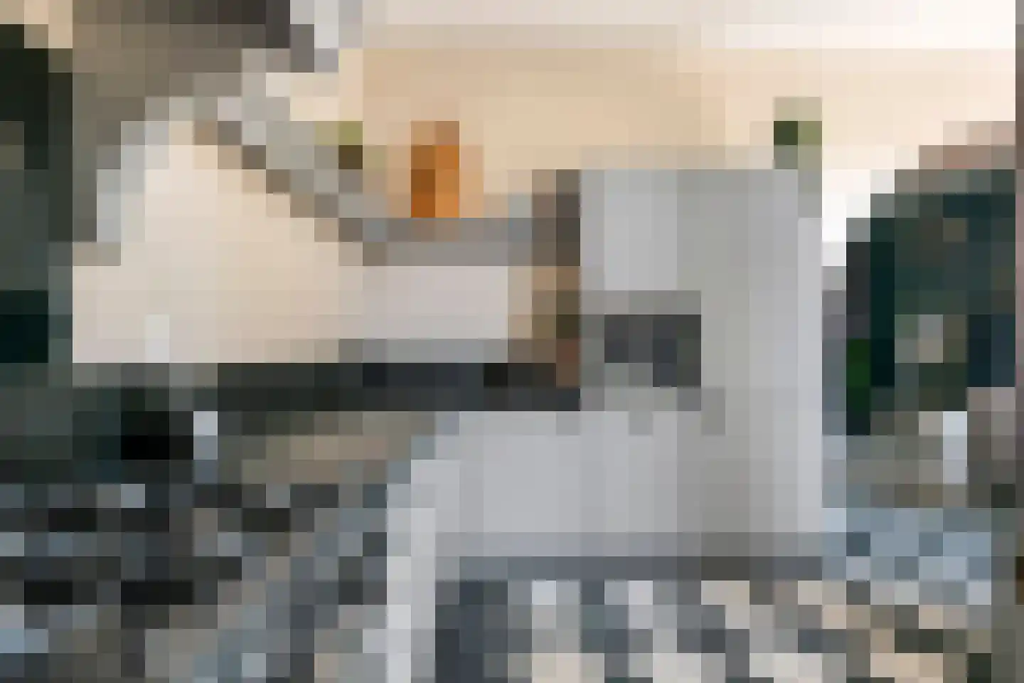 Kwelkade 3 Tiel thumbnail 45