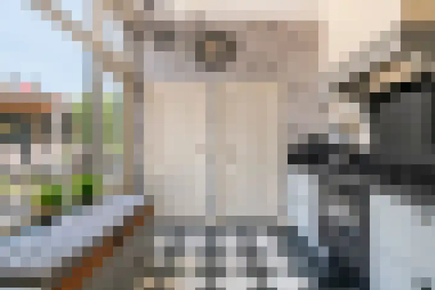Kwelkade 3 Tiel thumbnail 48