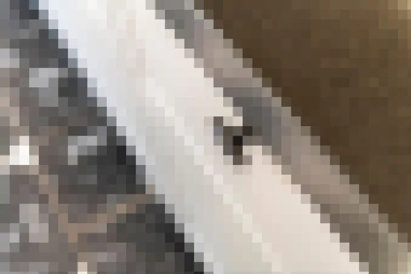 Kwelkade 3 Tiel thumbnail 50