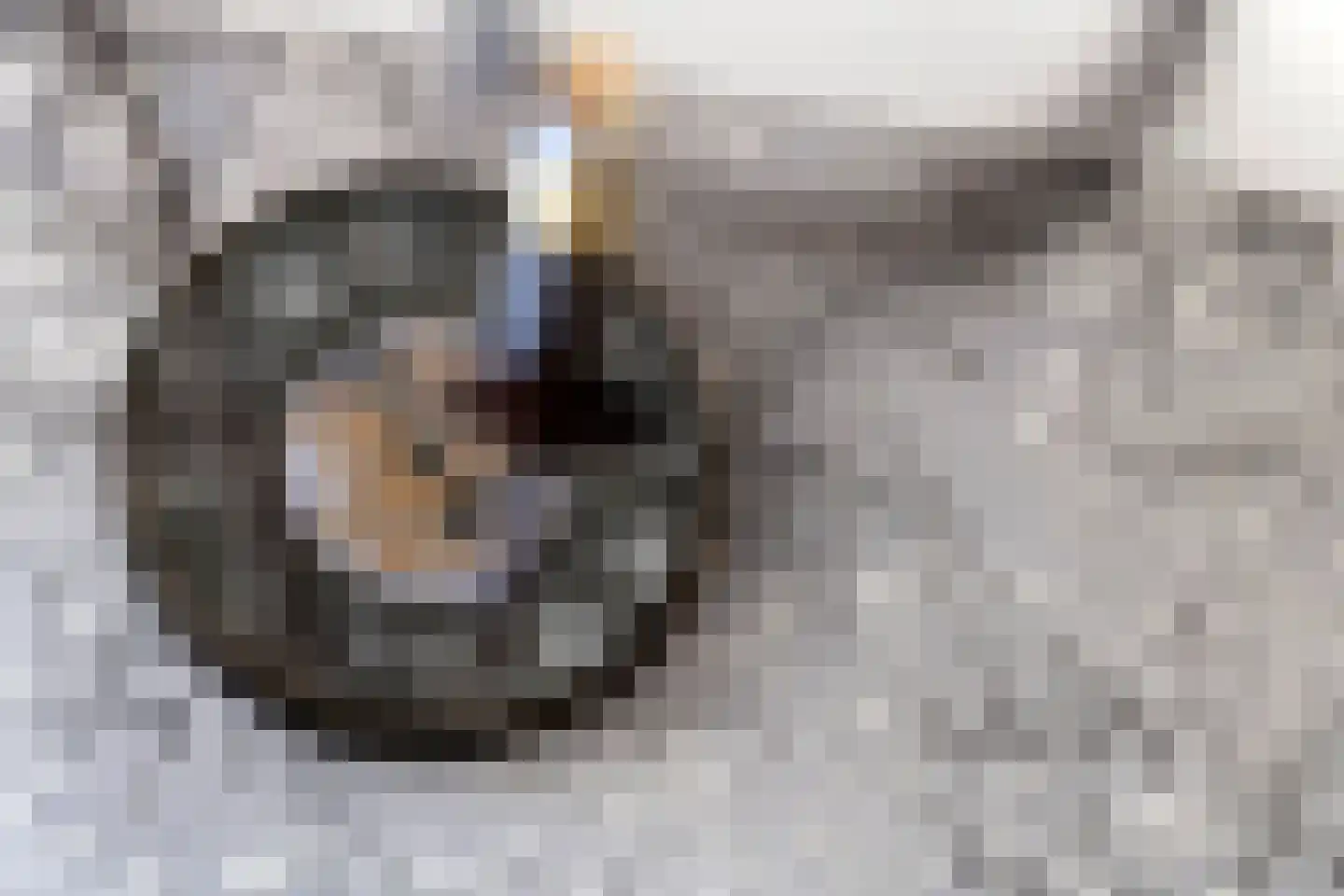 Kwelkade 3 Tiel thumbnail 52