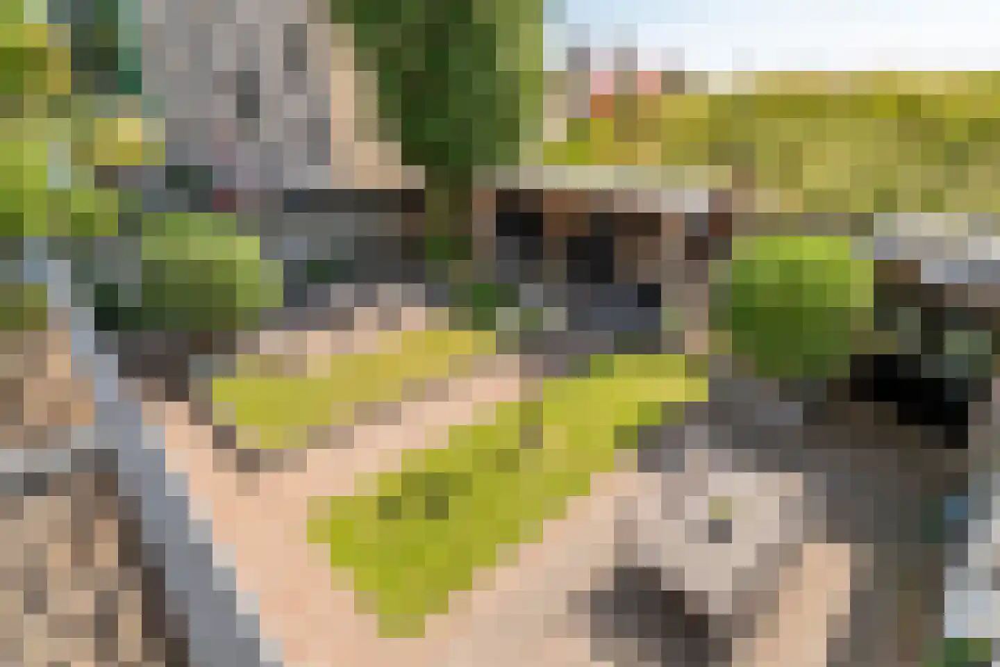 Kwelkade 3 Tiel thumbnail 65
