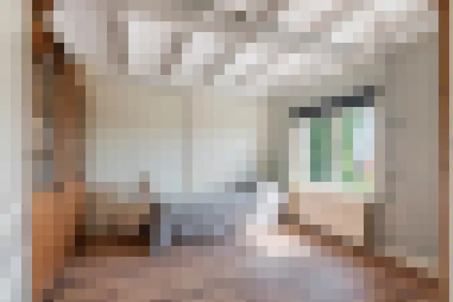Kwelkade 3 Tiel thumbnail 66