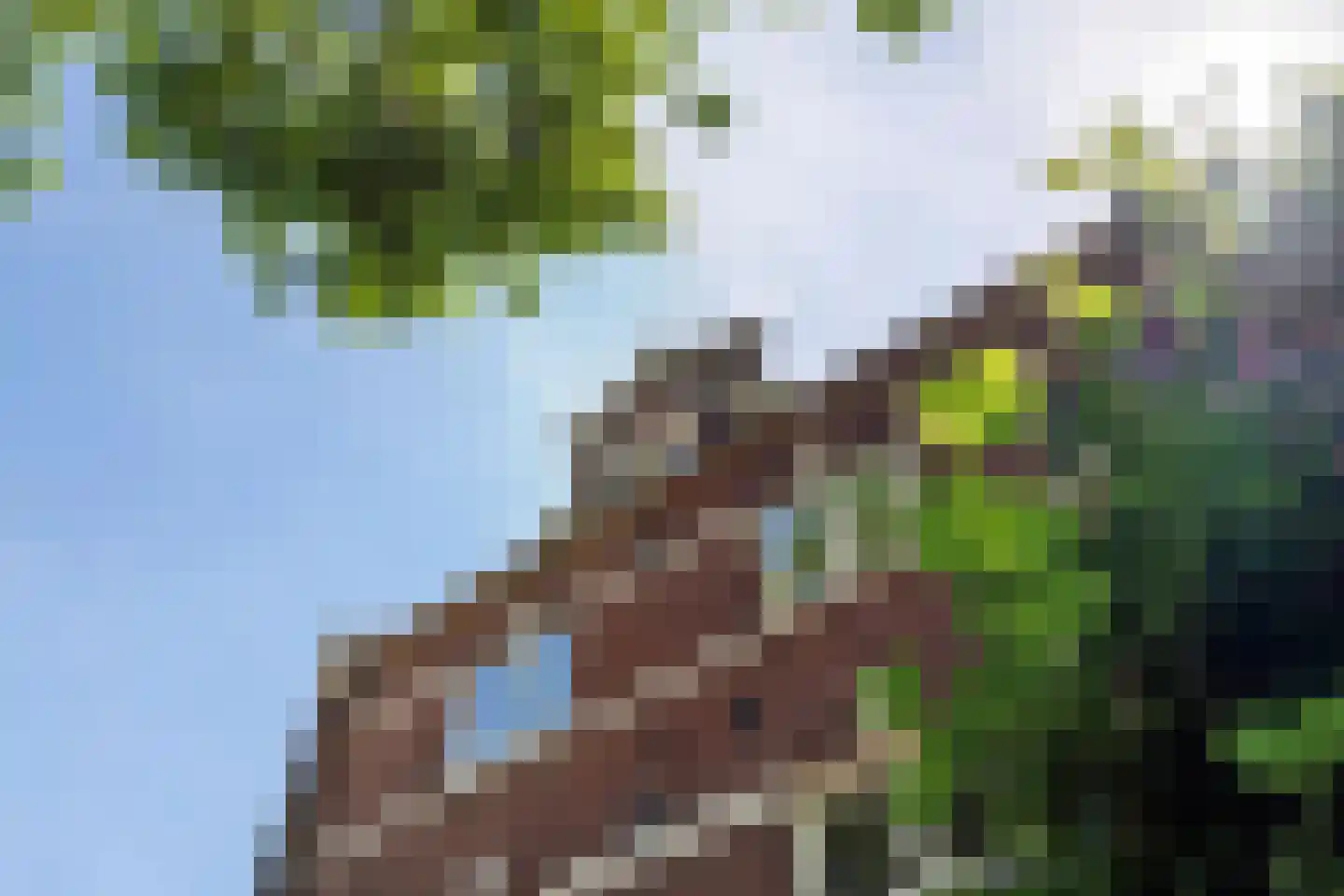 Kwelkade 3 Tiel thumbnail 8