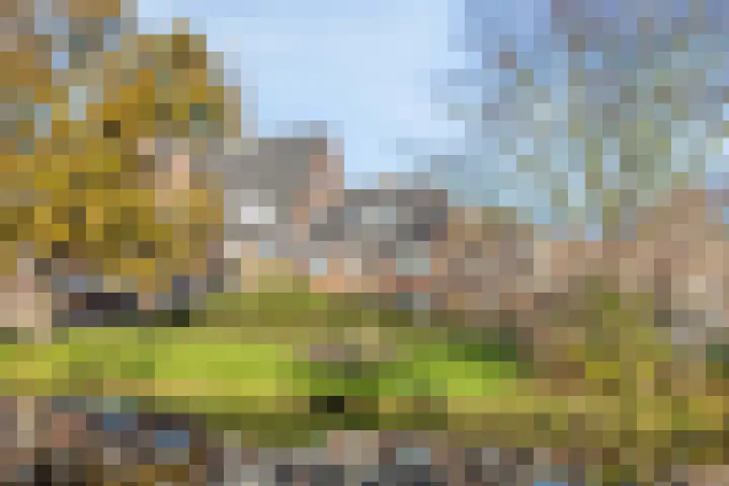 Kwerenpad 13 Alkmaar