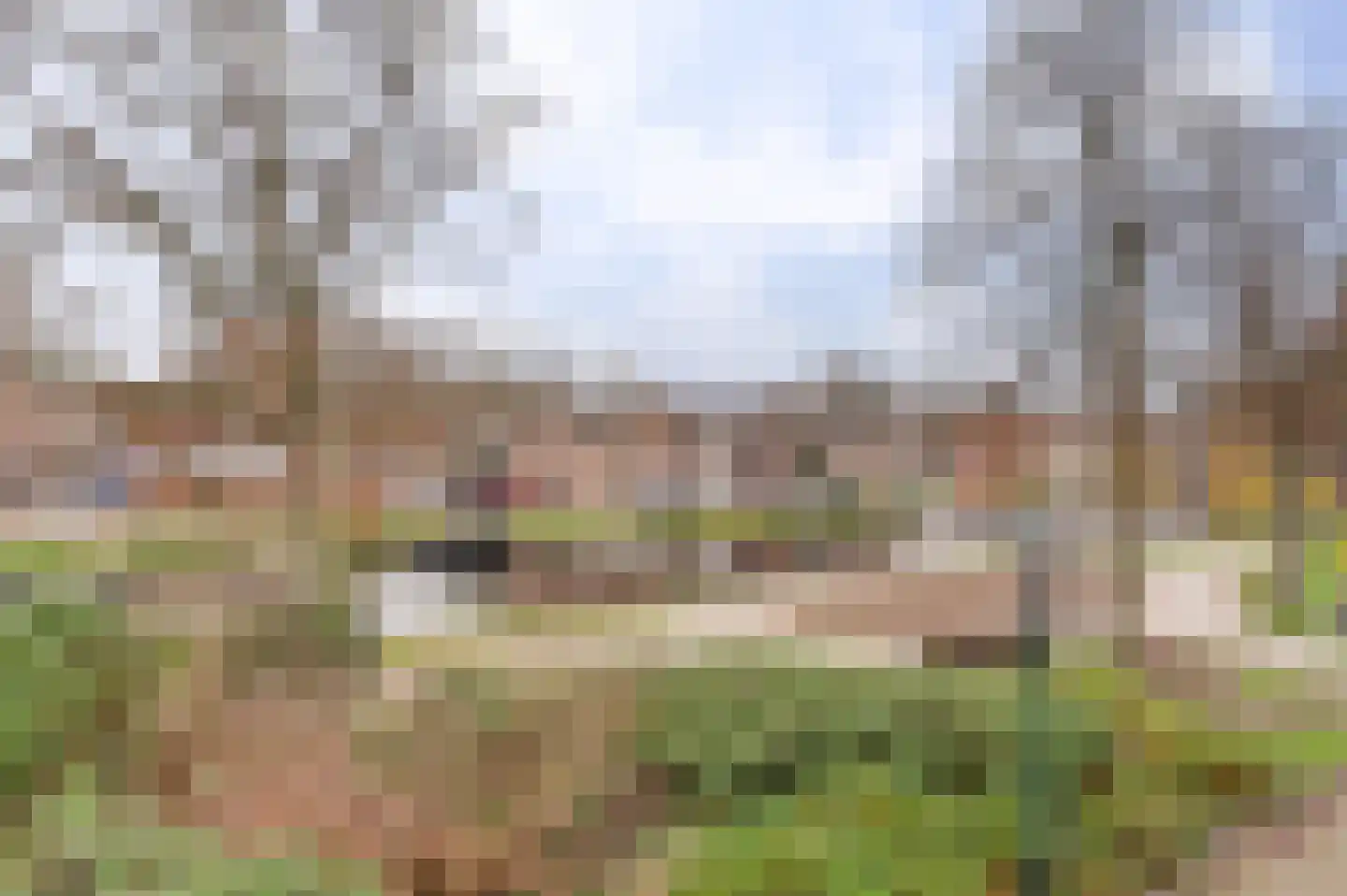 Kwerenpad 13 Alkmaar thumbnail 29