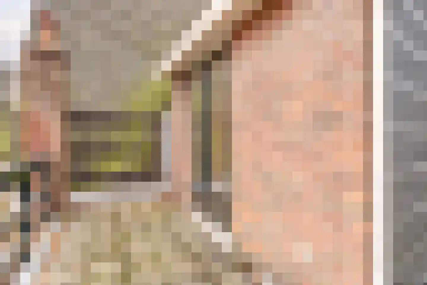Kwerenpad 13 Alkmaar thumbnail 40
