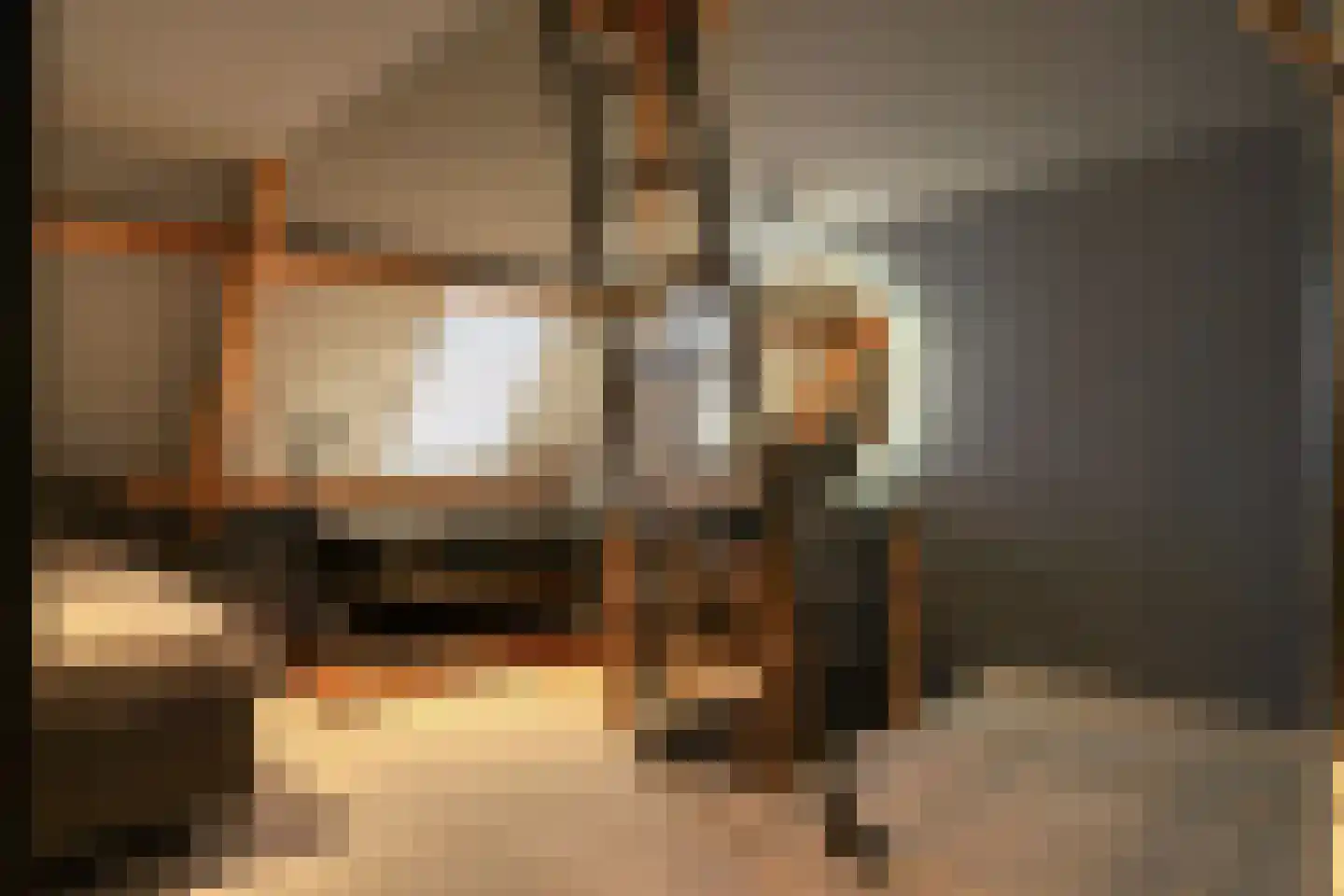Kwerenpad 13 Alkmaar thumbnail 46