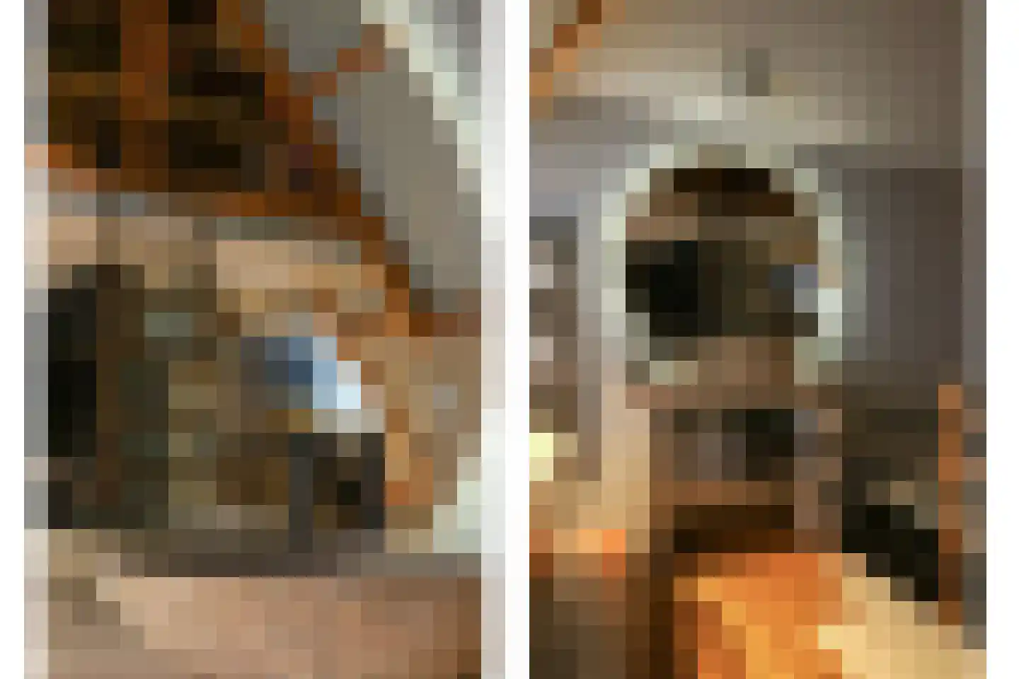 Kwerenpad 13 Alkmaar thumbnail 47