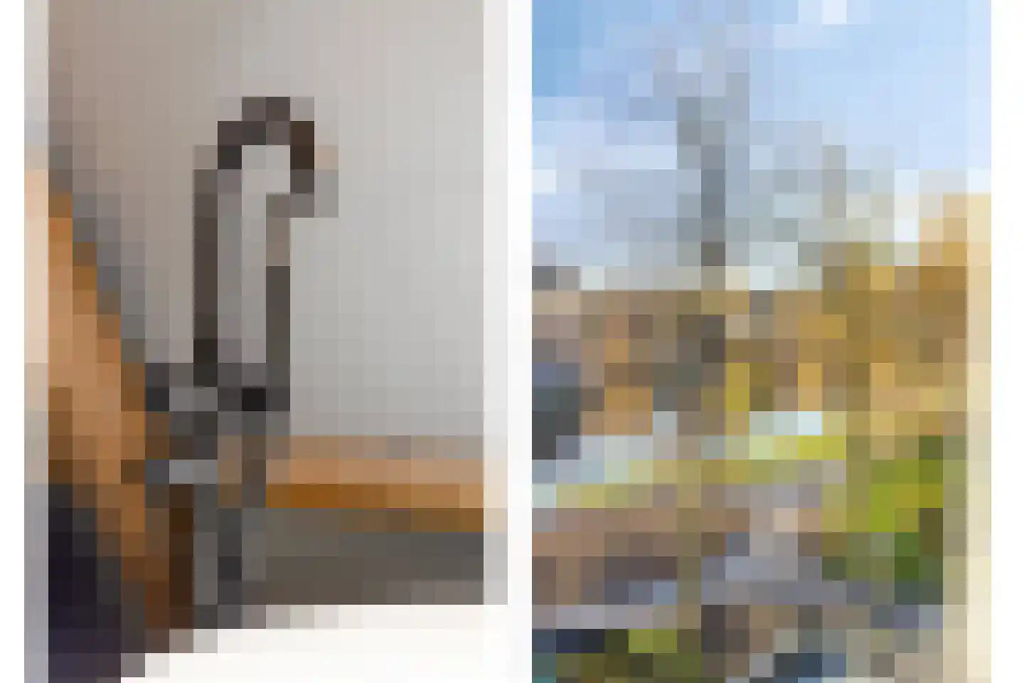 Kwerenpad 13 Alkmaar thumbnail 49