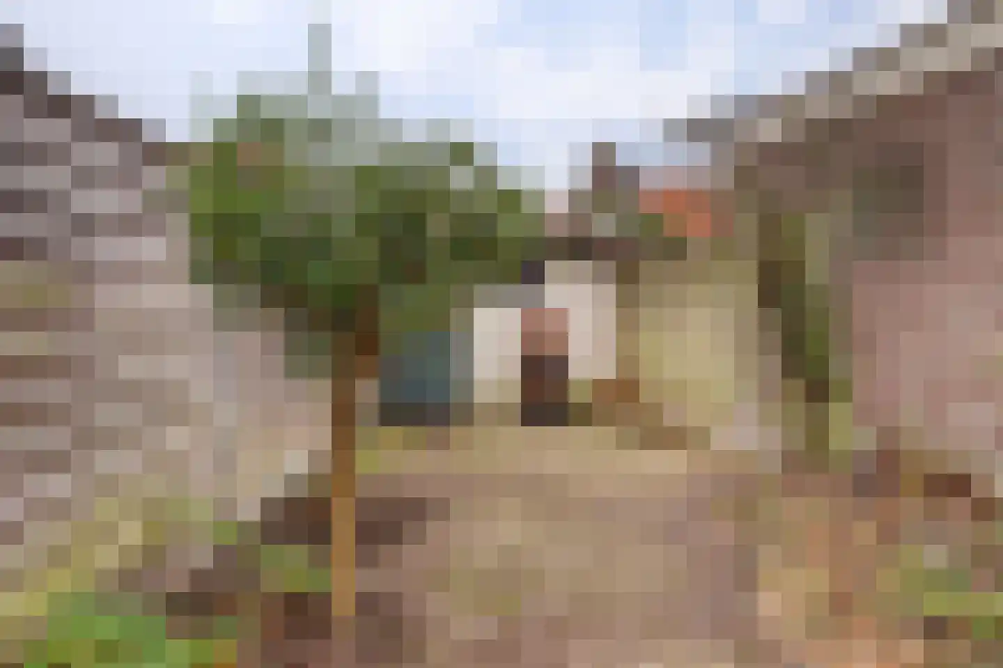 Kwerenpad 13 Alkmaar thumbnail 51
