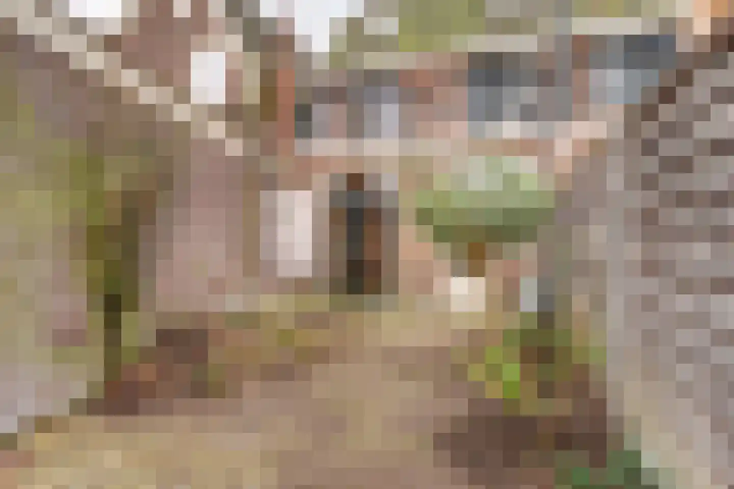 Kwerenpad 13 Alkmaar thumbnail 54