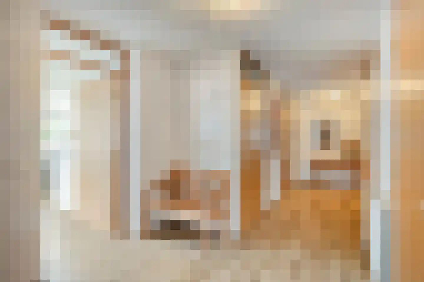 Kwikkelstraat 33 Dinxperlo thumbnail 22