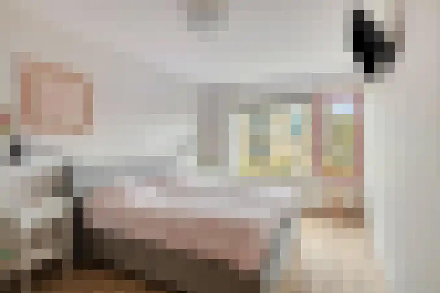 Kwikkelstraat 33 Dinxperlo thumbnail 23