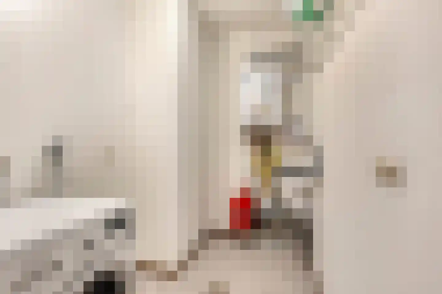 Kwikkelstraat 33 Dinxperlo thumbnail 32