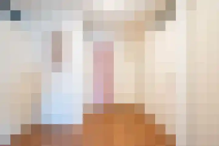 Kwikkelstraat 47 Dinxperlo thumbnail 13