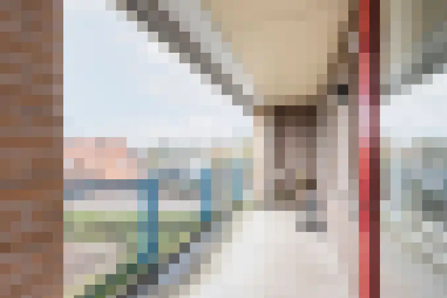 Kwikkelstraat 47 Dinxperlo thumbnail 4