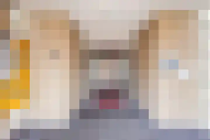 Kwikkelstraat 47 Dinxperlo thumbnail 8