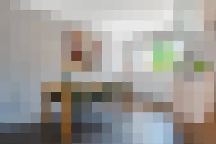 Kwikstaart 15 Mijdrecht thumbnail 15