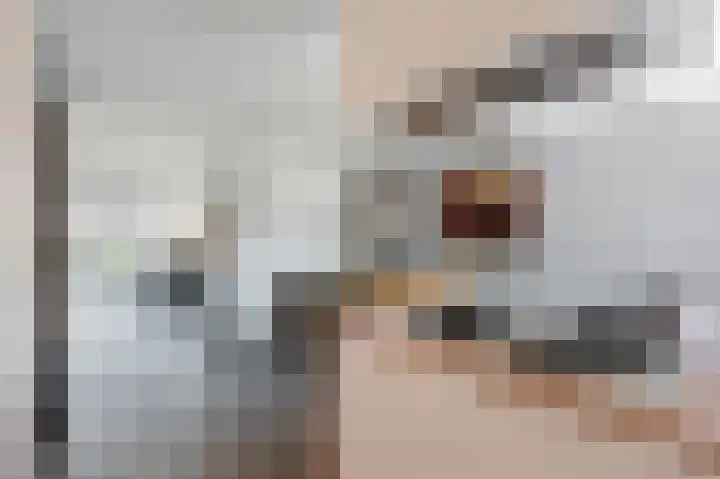 Kwikstaart 15 Mijdrecht thumbnail 20