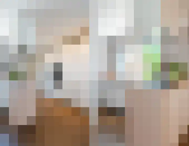 Kwikstaart 15 Mijdrecht thumbnail 21