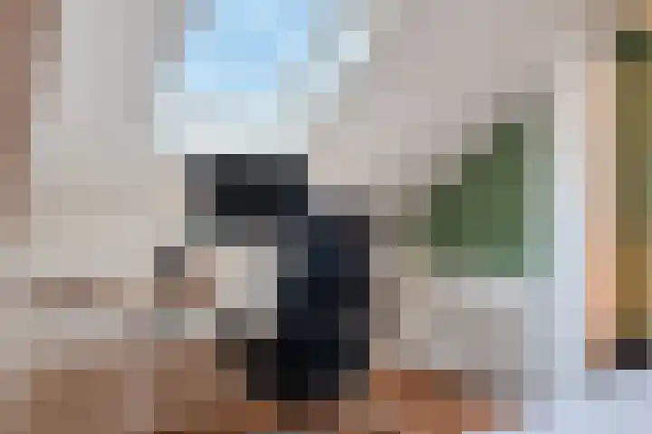 Kwikstaart 15 Mijdrecht thumbnail 33