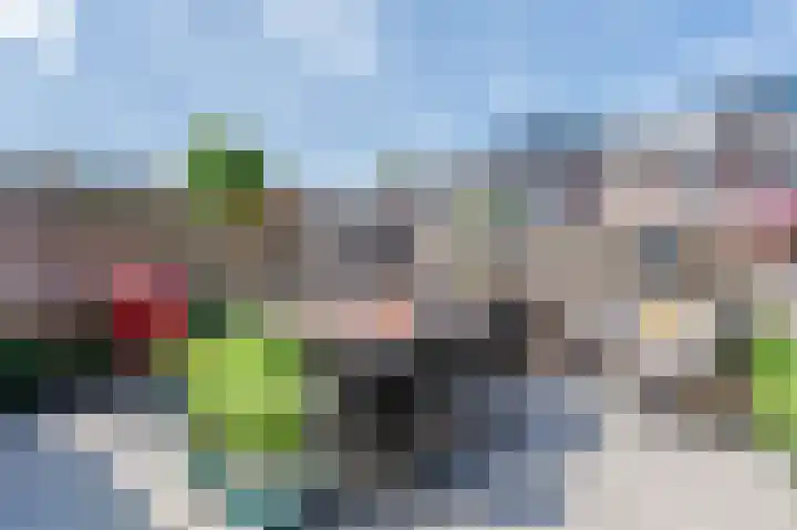 Kwikstaart 15 Mijdrecht thumbnail 36