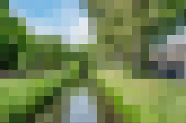 Kwikstaart 15 Mijdrecht thumbnail 39
