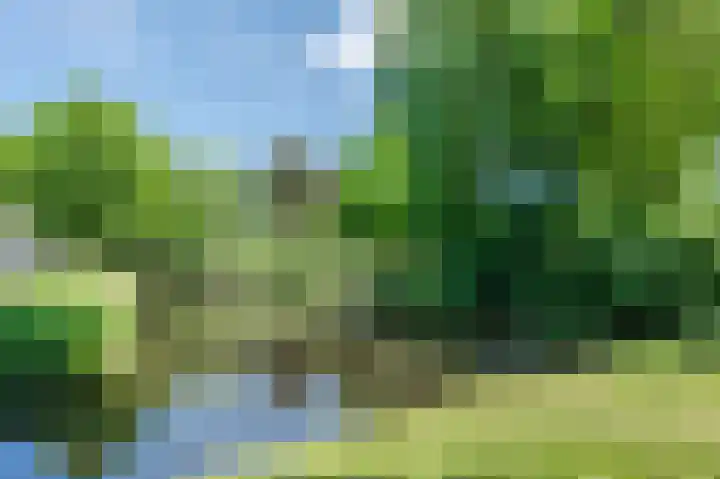 Kwikstaart 15 Mijdrecht thumbnail 40