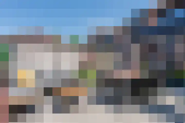 Kwikstaart 15 Mijdrecht thumbnail 5