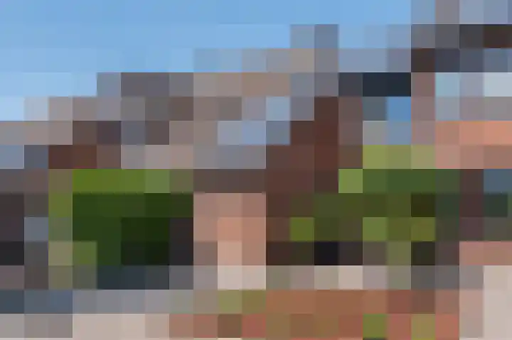 Kwikstaart 15 Mijdrecht thumbnail 6