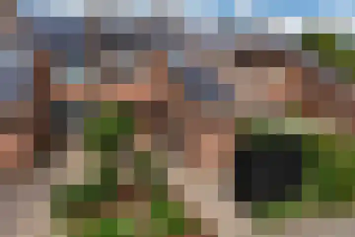 Kwikstaart 17 in Mijdrecht