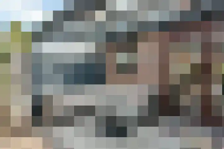 Kwikstaart 17 Mijdrecht thumbnail 13