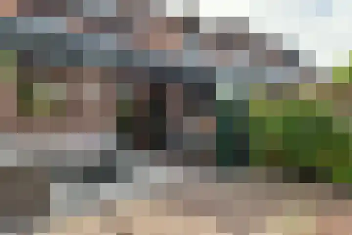Kwikstaart 17 Mijdrecht thumbnail 14
