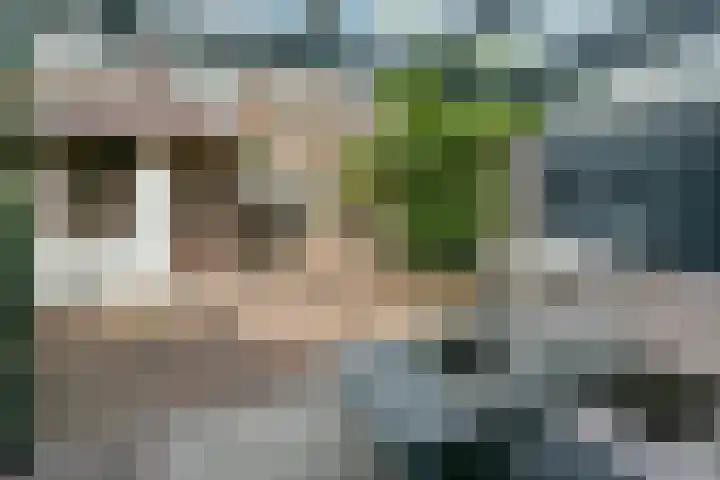 Kwikstaart 17 Mijdrecht thumbnail 15